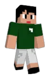 Noelapi Minecraft avatar full body