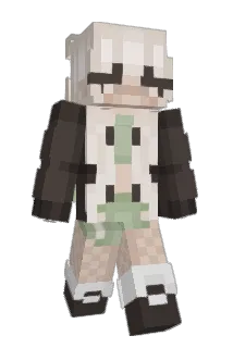 Noenkz Minecraft avatar full body