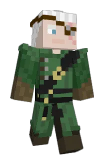 Noflashint Minecraft avatar full body