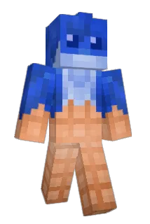 Nogi11 Minecraft avatar full body