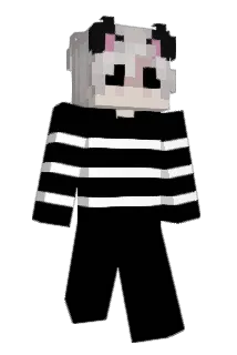 Noipri Minecraft avatar full body