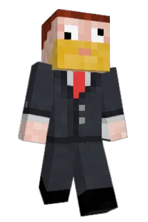 Nol_b Minecraft avatar full body