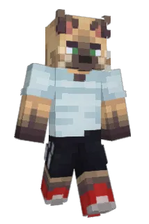Nongjag Minecraft avatar full body