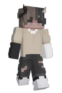 NoobRaider2 Minecraft avatar full body