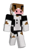 Noob_9207 Minecraft avatar full body