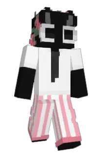 Noobier101 Minecraft avatar full body