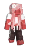 Noodleization Minecraft avatar full body