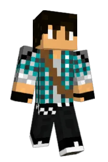 Nopro1134 Minecraft avatar full body