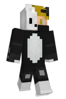 Nordbaer Minecraft avatar full body