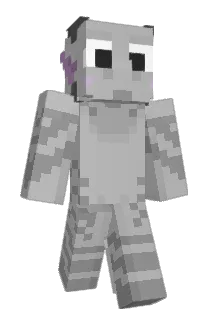 Norgad_ Minecraft avatar full body