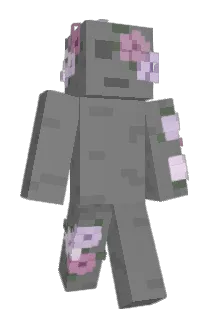 Northernster Minecraft avatar full body