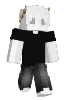 Northsx Minecraft avatar full body