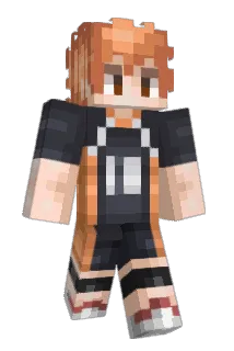 NortyConnect Minecraft avatar full body