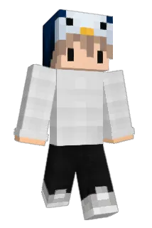 Norwe Minecraft avatar full body