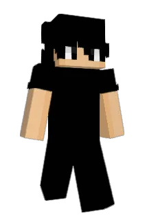 Not14 Minecraft avatar full body