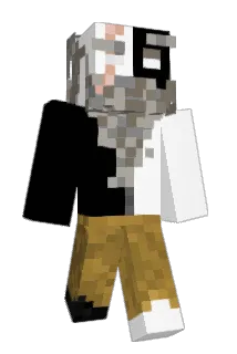NotAZinger Minecraft avatar full body