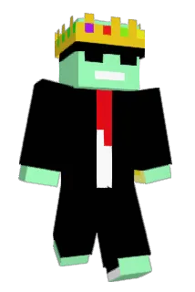 NotAmaan Minecraft avatar full body