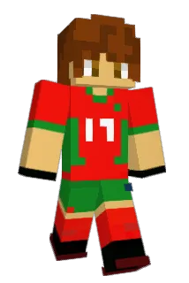 NotAmd Minecraft avatar full body