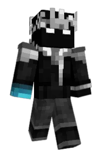 NotArctiic Minecraft avatar full body