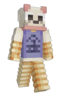 NotBray Minecraft avatar full body
