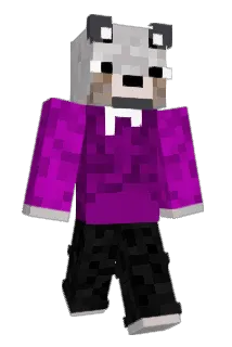 NotDamul Minecraft avatar full body