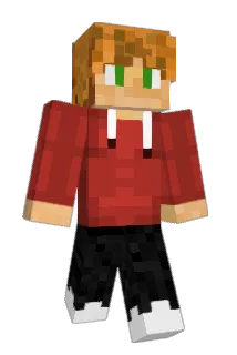 NotFlapz Minecraft avatar full body