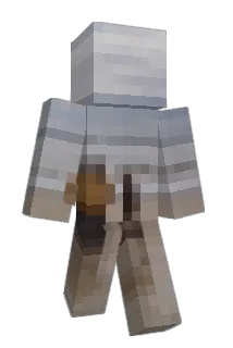 NotInReality Minecraft avatar full body