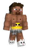 NotLipe Minecraft avatar full body