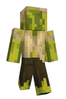 NotMyJewels Minecraft avatar full body
