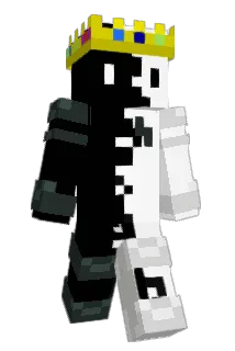 NotPorg Minecraft avatar full body