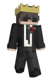 NotShamir_ Minecraft avatar full body