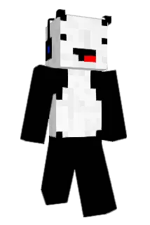 NotSpacePanda Minecraft avatar full body