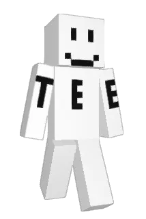 NotTee Minecraft avatar full body
