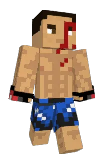 NotTheMauler Minecraft avatar full body