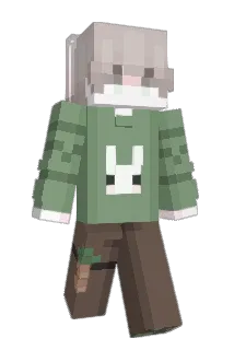 NotTonny Minecraft avatar full body