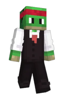 NotTurtl3 Minecraft avatar full body