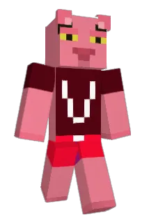 NotValters Minecraft avatar full body