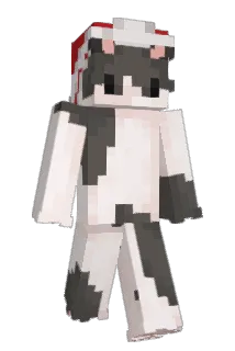 NotXr1s Minecraft avatar full body