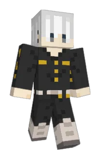 Not_DTX Minecraft avatar full body