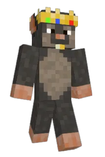 Not_EthanR Minecraft avatar full body