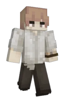 Not_Optimized Minecraft avatar full body