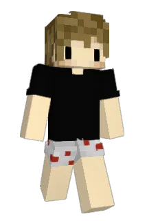 Not_SnowMan Minecraft avatar full body