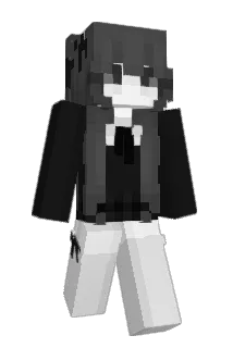 Not_TW_ Minecraft avatar full body