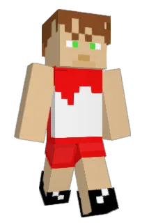 NothinButNet217 Minecraft avatar full body