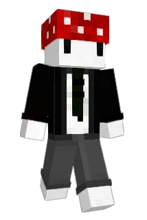 NotnaPro Minecraft avatar full body