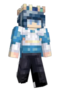Notret Minecraft avatar full body