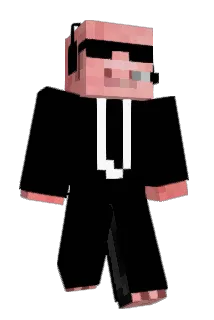 NotsraccubingYT Minecraft avatar full body