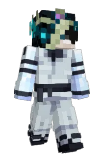 Nounsmc Minecraft avatar full body