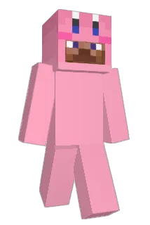 NovaINS Minecraft avatar full body