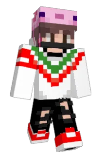 Novato129 Minecraft avatar full body